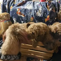 processed/fac0b573-186b-4435-98b8-1cccdfa32c4f/facility/0109177a-3f7e-42f3-ad70-55b2487a2197