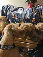 processed/fac0b573-186b-4435-98b8-1cccdfa32c4f/facility/0109177a-3f7e-42f3-ad70-55b2487a2197