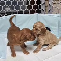 processed/fac0b573-186b-4435-98b8-1cccdfa32c4f/facility/0863bfaf-a626-49c0-b749-8b3f385ecb9a