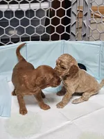 processed/fac0b573-186b-4435-98b8-1cccdfa32c4f/facility/0863bfaf-a626-49c0-b749-8b3f385ecb9a