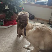 processed/fac0b573-186b-4435-98b8-1cccdfa32c4f/facility/12c1dc39-c308-409d-94f4-8d1adf1783c5