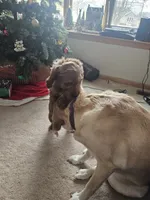 processed/fac0b573-186b-4435-98b8-1cccdfa32c4f/facility/12c1dc39-c308-409d-94f4-8d1adf1783c5