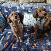 processed/fac0b573-186b-4435-98b8-1cccdfa32c4f/facility/30442b99-9b47-474b-bef2-8f4c845fa717