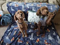 processed/fac0b573-186b-4435-98b8-1cccdfa32c4f/facility/30442b99-9b47-474b-bef2-8f4c845fa717