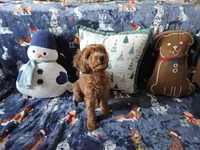 processed/fac0b573-186b-4435-98b8-1cccdfa32c4f/listing/0d366787-f69f-4009-b74b-3cc4b126082e/eee743ec-5462-4611-884f-e70db6124b76