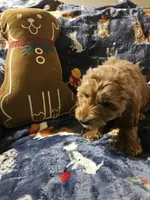 processed/fac0b573-186b-4435-98b8-1cccdfa32c4f/listing/bf9dcd31-53e0-4453-9ec3-8a5a5a809ca1/45991f58-5335-46c9-a0d1-c963e2e57451