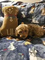 processed/fac0b573-186b-4435-98b8-1cccdfa32c4f/listing/bf9dcd31-53e0-4453-9ec3-8a5a5a809ca1/839d95fd-3c7e-4de0-96c5-264d78cd9459