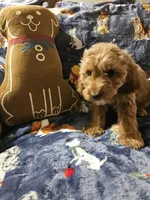 processed/fac0b573-186b-4435-98b8-1cccdfa32c4f/listing/bf9dcd31-53e0-4453-9ec3-8a5a5a809ca1/ce081b0b-4040-4de5-8904-2c52cad2497e