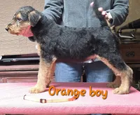 processed/fac99d38-4d7b-4b4c-919c-a02633ec9247/listing/22fa2e2c-1031-471d-b443-94b0ca7e072b/b7039089-aea7-4d46-bb35-631f1e3c1bc9