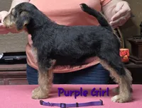 processed/fac99d38-4d7b-4b4c-919c-a02633ec9247/listing/6f361b29-c3f5-4d9f-bd6b-17d57879d13c/bc1ef499-ded5-4afe-b299-24d17cb16b23