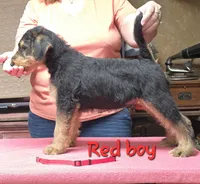 processed/fac99d38-4d7b-4b4c-919c-a02633ec9247/listing/fed7d5ef-67f1-43d0-89cb-097c5e4e8079/c786cc9f-c160-402c-a143-850aa10541f6