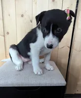 processed/facbf67e-9e62-45ee-8f8e-0f5d3c4f03e8/listing/17cc8105-2fc1-46b5-aef0-30eecd5587f6/33c2ff30-bd3a-48c5-898f-9199ca1940a4