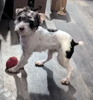 processed/facbf67e-9e62-45ee-8f8e-0f5d3c4f03e8/listing/579c1a4d-dd91-4ac5-8914-4692bff80741/418bb6aa-03cd-4ecb-ba70-69c467b52d13