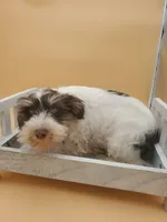 processed/facbf67e-9e62-45ee-8f8e-0f5d3c4f03e8/listing/579c1a4d-dd91-4ac5-8914-4692bff80741/c727840b-c747-40c6-a759-16e85391e654