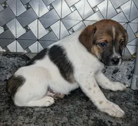 processed/facbf67e-9e62-45ee-8f8e-0f5d3c4f03e8/listing/86e04ed0-bba0-485c-b2a2-0b289f939e1d/5bb72539-1ee5-4178-91cf-16f0ce9eae66