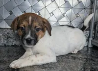 processed/facbf67e-9e62-45ee-8f8e-0f5d3c4f03e8/listing/86e04ed0-bba0-485c-b2a2-0b289f939e1d/c9b7af76-0e51-4e8d-8447-d80aeb20b547