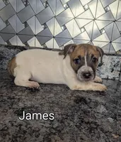 processed/facbf67e-9e62-45ee-8f8e-0f5d3c4f03e8/listing/afac5845-59a4-41ba-8d78-9e85bfe94560/18778561-6aad-4c5b-a1df-bcb504d017e4