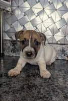 processed/facbf67e-9e62-45ee-8f8e-0f5d3c4f03e8/listing/afac5845-59a4-41ba-8d78-9e85bfe94560/73085767-d170-4eb8-97a2-085473e04bf8