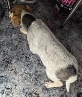 processed/facbf67e-9e62-45ee-8f8e-0f5d3c4f03e8/listing/c5b7f861-b4d8-4668-8b0d-877cbee1994c/00fe4d5e-48ec-4a30-b449-8b07bc10ca34