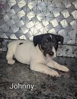 processed/facbf67e-9e62-45ee-8f8e-0f5d3c4f03e8/listing/d5dfa08d-dd78-46da-b5e3-f55fc1e7943c/7c88a48e-04c2-4db5-b2e3-b22487e6f849