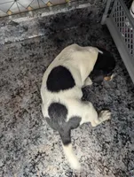 processed/facbf67e-9e62-45ee-8f8e-0f5d3c4f03e8/listing/fa162e36-c72f-4bb0-a806-c3014f16406f/8dce15a0-e3df-4f21-b495-1be6d944aaa1