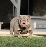 processed/facc6dce-1add-48a8-88eb-00d4974e9542/listing/03fa61d9-9db4-419e-b2f9-64275f78cc5d/131ff9f0-48b1-4a16-9655-a4506c6b5547