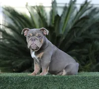 processed/facc6dce-1add-48a8-88eb-00d4974e9542/listing/7f732df5-9f0d-4988-94a8-c54e61440e42/65772fcc-3331-4471-ba9d-9263c138899f