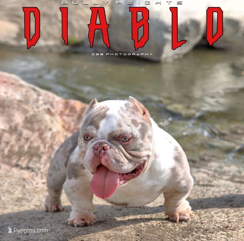 Diablo