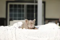 processed/facc6dce-1add-48a8-88eb-00d4974e9542/listing/d31774e8-4cdd-4d8d-bfc0-b2703a2c9236/2206c328-ca13-4d27-ac5e-9cd0fc335319