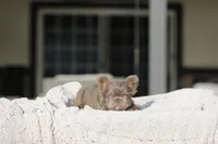 processed/facc6dce-1add-48a8-88eb-00d4974e9542/listing/d31774e8-4cdd-4d8d-bfc0-b2703a2c9236/91fb56f9-bd3b-4378-a3b9-02f052cf2a4f