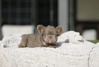 processed/facc6dce-1add-48a8-88eb-00d4974e9542/listing/d31774e8-4cdd-4d8d-bfc0-b2703a2c9236/99a8359c-900a-474b-b1fb-6056ce42955f