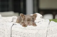 processed/facc6dce-1add-48a8-88eb-00d4974e9542/listing/d31774e8-4cdd-4d8d-bfc0-b2703a2c9236/bb489ea8-8a64-45f7-9e2a-10a6c83cae51