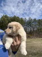 processed/fad02bee-dd36-4ca1-853d-ba12e21595f8/listing/218db0c2-6f98-468b-82c7-579a9ec3bb59/bcd0b0cd-5a36-4d3f-8157-ed43b9ba71c6