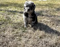 processed/fad02bee-dd36-4ca1-853d-ba12e21595f8/listing/33bdde46-3a31-4ea9-9ac6-edb16586ac62/174c13c5-c12a-4f5d-854d-44fdb7daf303