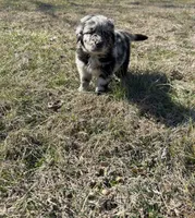 processed/fad02bee-dd36-4ca1-853d-ba12e21595f8/listing/33bdde46-3a31-4ea9-9ac6-edb16586ac62/17851c32-27fa-444d-881e-8ff1946f9a3f