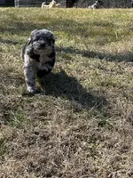 processed/fad02bee-dd36-4ca1-853d-ba12e21595f8/listing/33bdde46-3a31-4ea9-9ac6-edb16586ac62/bdf3020c-048a-4e3e-9aac-3dc62eaecc8e