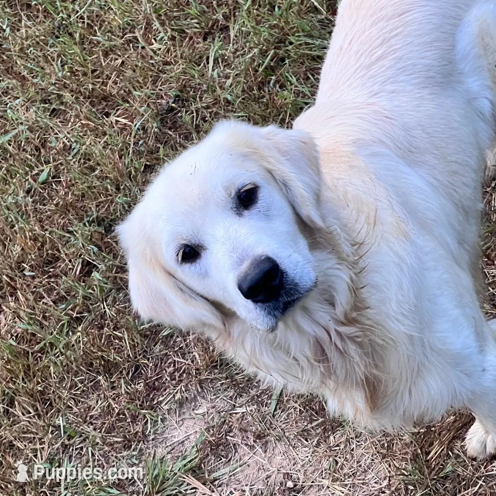 processed/fad02bee-dd36-4ca1-853d-ba12e21595f8/listing/33bdde46-3a31-4ea9-9ac6-edb16586ac62/cf146204-df42-4c1a-a8bf-167523104560