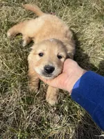 processed/fad02bee-dd36-4ca1-853d-ba12e21595f8/listing/ca64f0fe-d8fa-4688-b1aa-fadf3a857e23/208614cb-f94c-4d51-b76d-046af51b9fa8