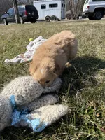 processed/fad02bee-dd36-4ca1-853d-ba12e21595f8/listing/ca64f0fe-d8fa-4688-b1aa-fadf3a857e23/42b1a52a-9c95-494d-b942-a9a122d28680