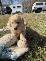 processed/fad02bee-dd36-4ca1-853d-ba12e21595f8/listing/ca64f0fe-d8fa-4688-b1aa-fadf3a857e23/67ed6d3c-c2cf-4662-9042-924e4732926d