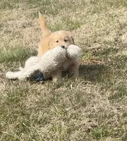 processed/fad02bee-dd36-4ca1-853d-ba12e21595f8/listing/ca64f0fe-d8fa-4688-b1aa-fadf3a857e23/afdfca99-40ca-4a38-81d2-da1062b461c5