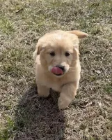 processed/fad02bee-dd36-4ca1-853d-ba12e21595f8/listing/ca64f0fe-d8fa-4688-b1aa-fadf3a857e23/ddaa2a07-f6ce-43d5-8203-dcab5729d1df