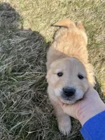 processed/fad02bee-dd36-4ca1-853d-ba12e21595f8/listing/ca64f0fe-d8fa-4688-b1aa-fadf3a857e23/e381e488-65a6-4dda-aece-d2ebc3df04f9