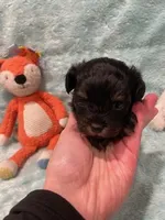 processed/fade7f19-1e8a-48da-86d7-9669ed99c004/listing/1692c7b5-1748-45a9-ace8-894ca74cc1ef/52f217e4-cd80-4b77-ae47-de6a0d9443f6