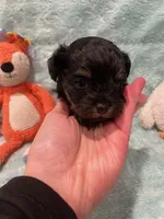 processed/fade7f19-1e8a-48da-86d7-9669ed99c004/listing/1692c7b5-1748-45a9-ace8-894ca74cc1ef/85e65fc9-fa0e-4337-9b06-fe8a830e1702