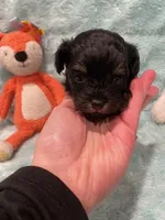 processed/fade7f19-1e8a-48da-86d7-9669ed99c004/listing/1692c7b5-1748-45a9-ace8-894ca74cc1ef/d29ac4c4-ab9b-495b-8dff-1cae713dad4e