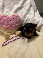 processed/fade7f19-1e8a-48da-86d7-9669ed99c004/listing/1d0dfbeb-3821-4af0-b6db-5c7491fe0ce2/37f4f014-2fce-4d71-b909-aec6e7451a85