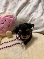 processed/fade7f19-1e8a-48da-86d7-9669ed99c004/listing/1d0dfbeb-3821-4af0-b6db-5c7491fe0ce2/6ff3c80f-c771-49e7-a782-dd1d05f427a9