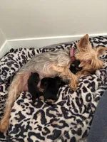 processed/fade7f19-1e8a-48da-86d7-9669ed99c004/listing/1d0dfbeb-3821-4af0-b6db-5c7491fe0ce2/d70b606f-18d3-4bf8-9a32-5795a9f06463