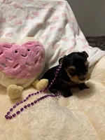 processed/fade7f19-1e8a-48da-86d7-9669ed99c004/listing/1d0dfbeb-3821-4af0-b6db-5c7491fe0ce2/e83610da-671a-4ee2-87dc-d18778e9774a